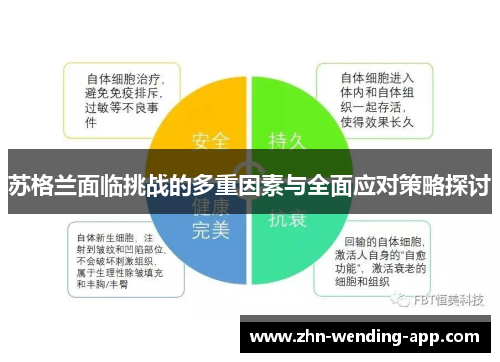 苏格兰面临挑战的多重因素与全面应对策略探讨 苏格兰面临挑战的多重因素与全面应对策略探讨