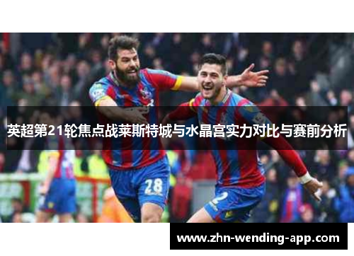 英超第21轮焦点战莱斯特城与水晶宫实力对比与赛前分析 英超第21轮焦点战莱斯特城与水晶宫实力对比与赛前分析